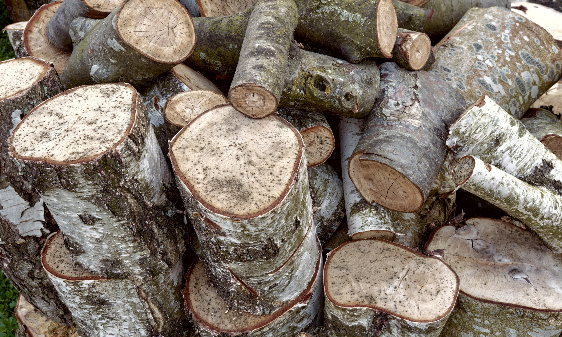 Buy stock photo Wood, stump and pile of lumber in forest for fuel, heat or natural material for construction. Stack, tree trunk and carpentry supplier in environment for pattern, timber or texture for sustainability