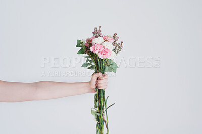 Buy stock photo Person, hands and plant with flower bouquet for anniversary, gift or valentines day on a white studio background. Closeup of model holding natural leaves, stem or blossom for bloom, romance or love