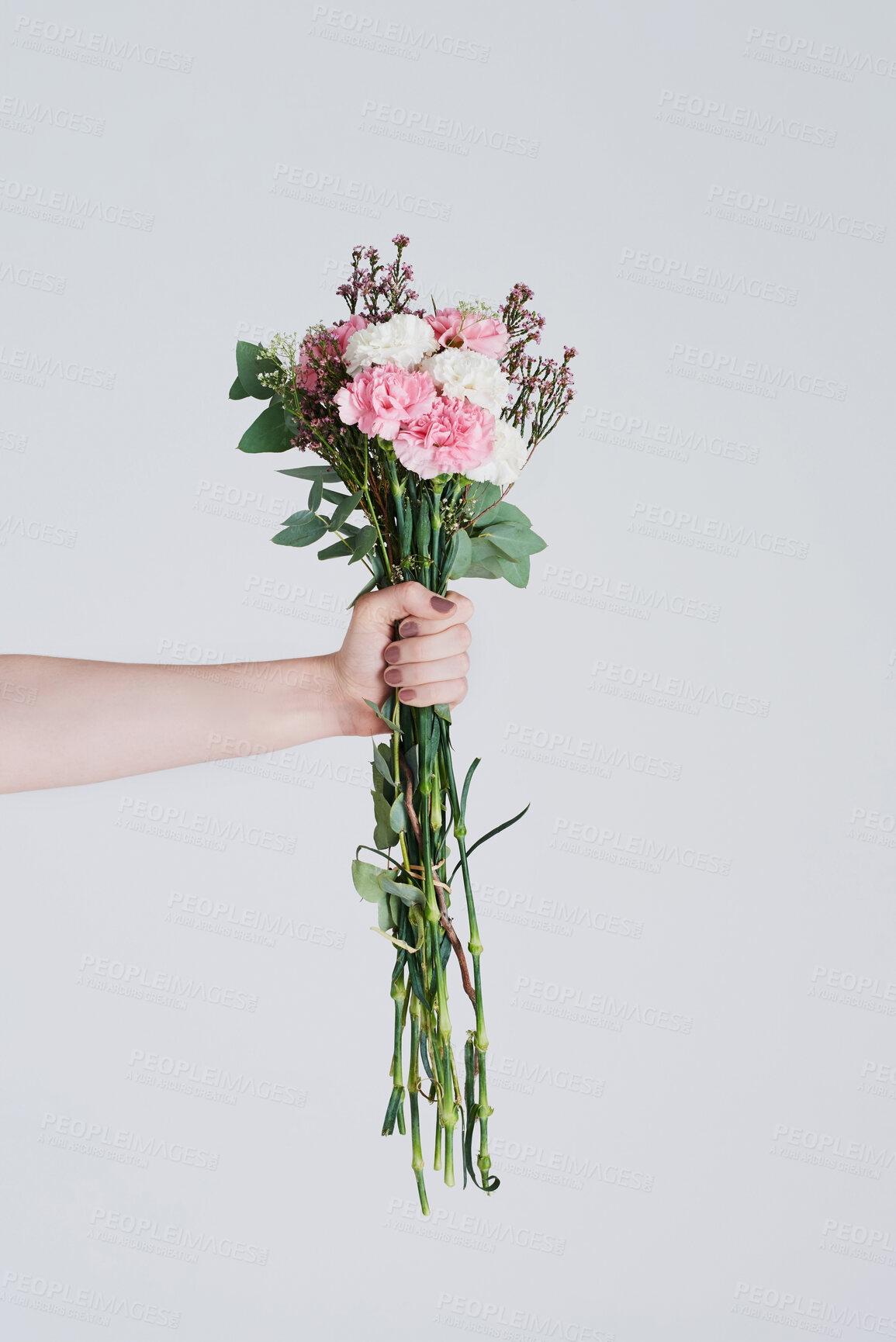 Buy stock photo Woman, pink and flowers in hand for love with anniversary present and floral product for hope in studio. Leaves, girl manicure and holding carnation bouquet for romance and gift by white background