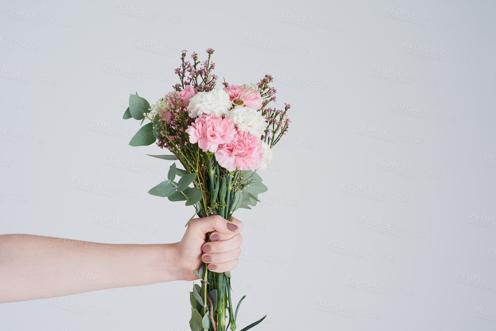 Buy stock photo Woman, leaves and flowers in hand for love with anniversary present and floral product for trust in studio. Girl, manicure and holding carnation bouquet for romantic gift and hope by white background