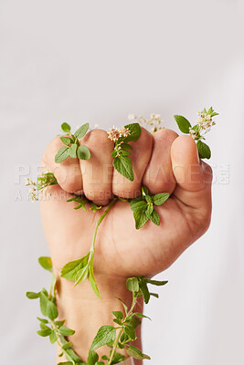 Buy stock photo Woman hand, nature and fist with leaves for eco warrior, fight and revolution for sustainability protest. White background, studio and person with leaf and green plant in hands for environment rally