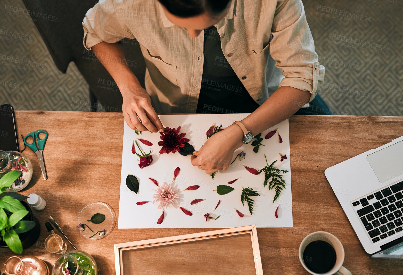 Buy stock photo Desk, hands and flowers on paper with designer person in office for creative framing from above. Art, interior decor and frame with small business owner at table in workplace for handmade crafts