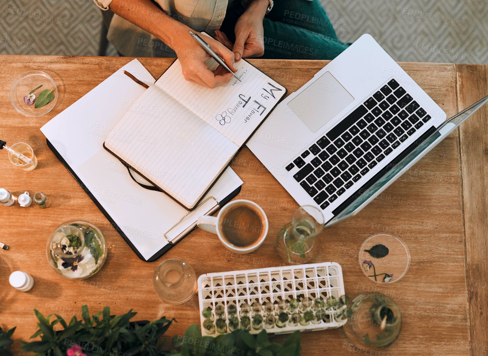 Buy stock photo Woman, hands and writing in notebook with plants for growth progress, observation journal and garden planner. Girl, top view and laptop in home for horticulture documentation and hydroponic study.