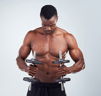 Buy stock photo Weights, dumbbells and black man in studio for workout, bodybuilder training and intense exercise. Fitness, sports and person weightlifting for strength, muscles and strong arms on white background