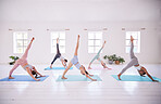 Fit young women in downward dog pose. Group of flexible women stretching in yoga class. Women in asana yoga pose together.women in downward dog with leg lifted. Strong women balance in yoga class