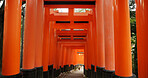 Architecture, torii gates and temple for religion, travel and traditional landmark for spirituality. Buddhism, Japanese culture and trip to Kyoto, zen and prayer or pathway by Fushimi Inari Shinto