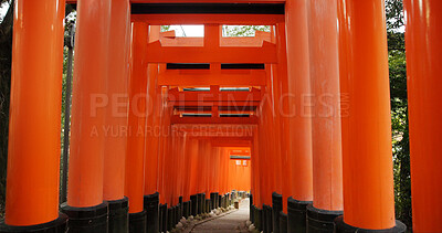 Buy stock photo Architecture, torii gates and temple for religion, travel and traditional landmark for spirituality. Buddhism, Japanese culture and trip to Kyoto, zen and prayer or pathway by Fushimi Inari Shinto