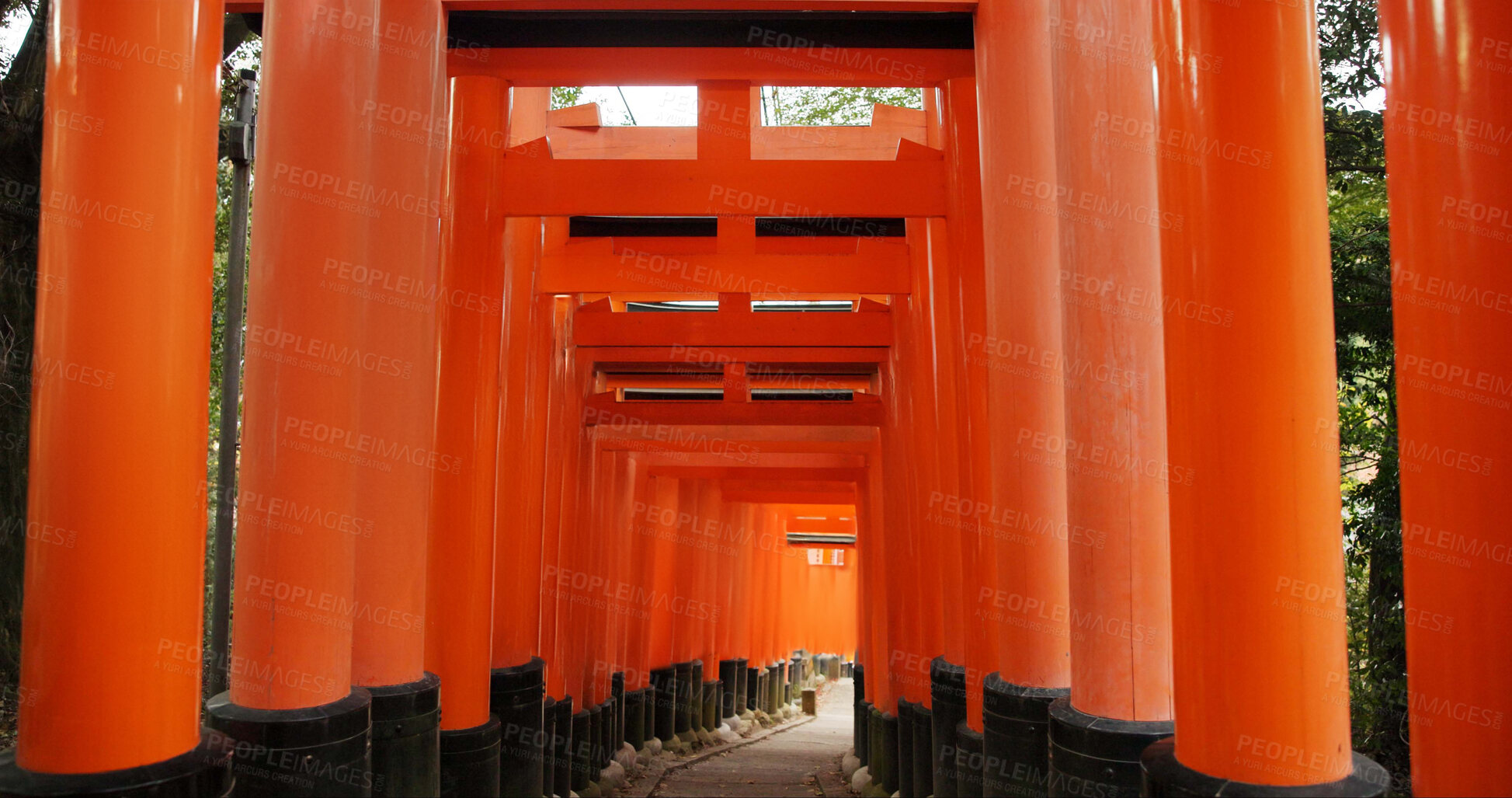 Buy stock photo Architecture, torii gates and temple for religion, travel and traditional landmark for spirituality. Buddhism, Japanese culture and trip to Kyoto, zen and prayer or pathway by Fushimi Inari Shinto