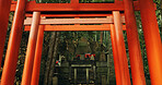 Nature, forest and Torii gate monument in Kyoto with peace, mindfulness and travel with spiritual history. Architecture, Japanese culture and Shinto shrine in woods with sculpture, memorial and trees