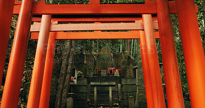 Buy stock photo Nature, forest and Torii gate monument in Kyoto with peace, mindfulness and travel with spiritual history. Architecture, Japanese culture and Shinto shrine in woods with sculpture, memorial and trees