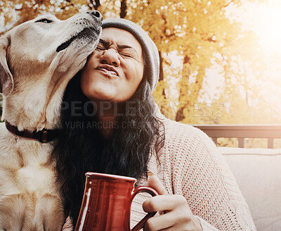 Buy stock photo Happiness, woman and dog on bench with coffee, excited and hug in autumn. Mental health, female person and emotional support labrador in garden for adoption, therapy and relief from anxiety with pet