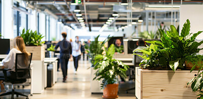 Buy stock photo Business, desk and people in office, plants and arriving in workspace of coworking, table and startup. Workplace, interior design and architecture of building, colleagues and walking in morning