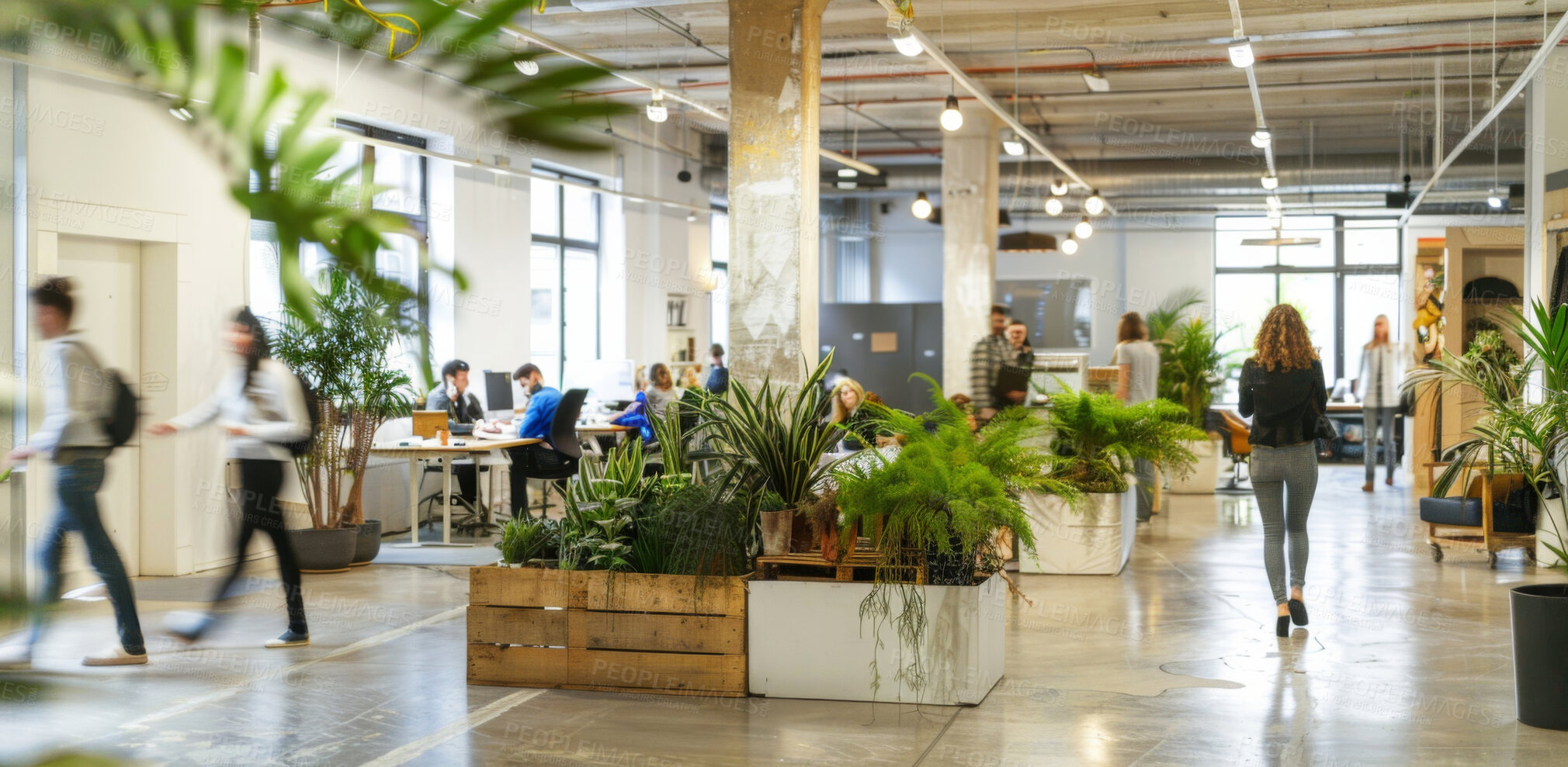 Buy stock photo Office, busy and business people walk in startup, company and workplace with eco friendly plants. Blur, motion or group in coworking space for rush, workflow or moving at workspace for sustainability