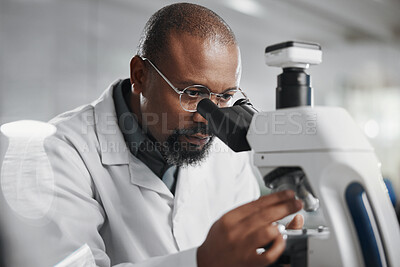 Buy stock photo Healthcare, microscope and science with man in lab for medical or pharmaceutical research. Innovation, sample and study with African scientist at work for analysis, development or experiment results