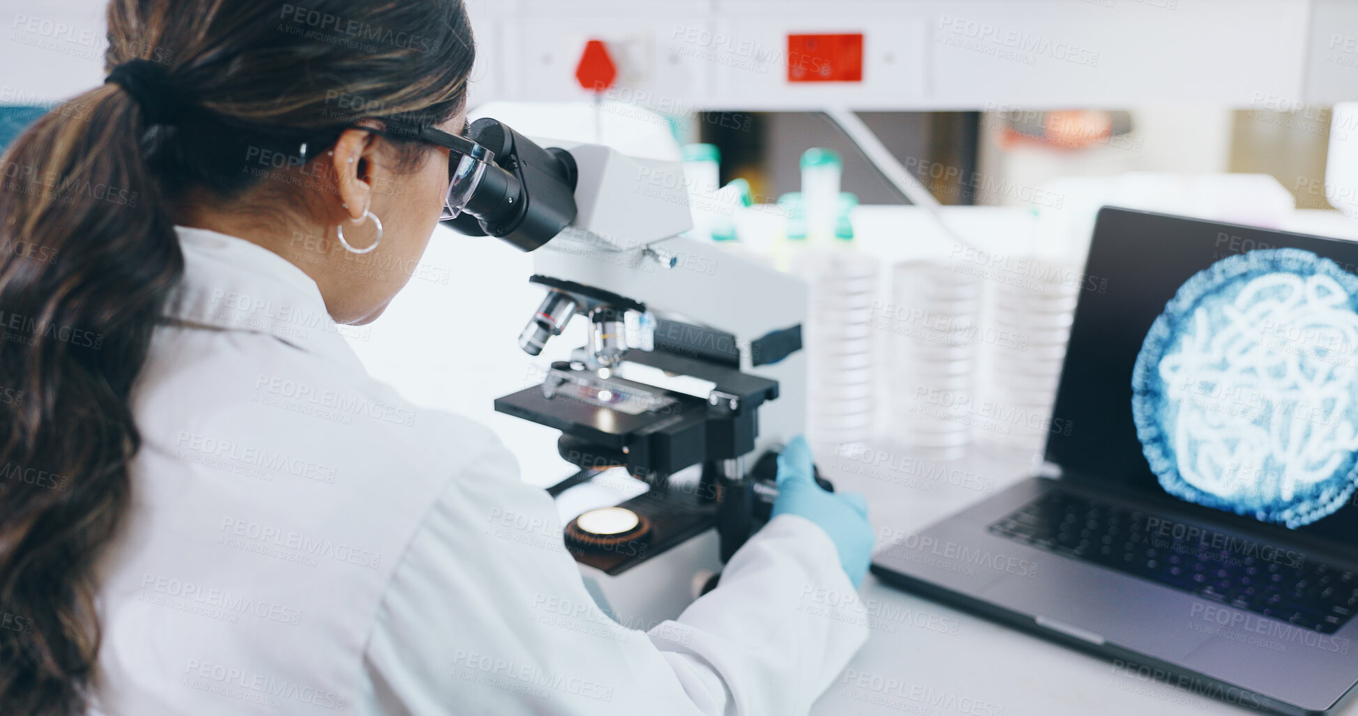 Buy stock photo Woman, science and laptop with microscope in lab, microbiology and research study of organisms. Specimen, analysis and bacteria or antimicrobial resistance, digital imaging and vaccine development
