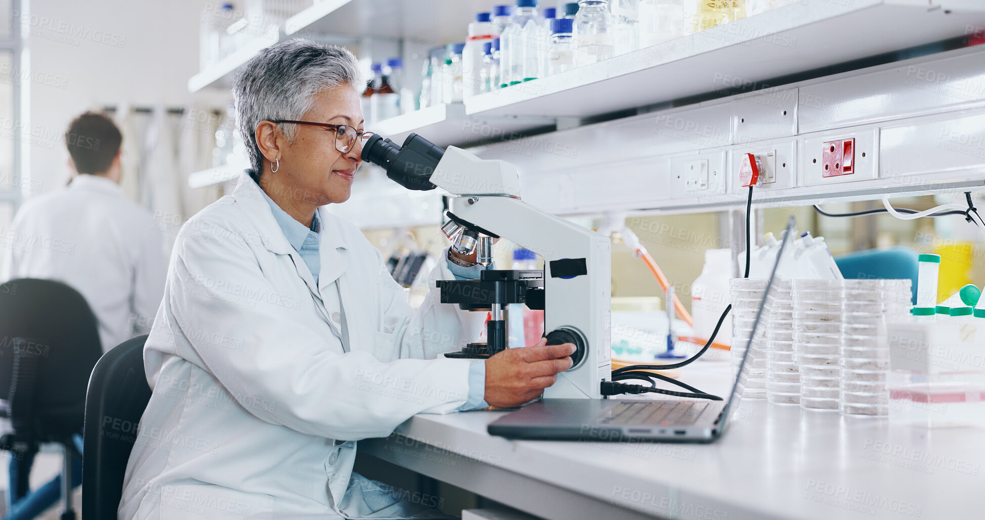 Buy stock photo Mature, biotech and woman with microscope, science and medical experiment for cancer treatment. Person, scientist or researcher with lab equipment, testing and sample with dna, particles and bacteria