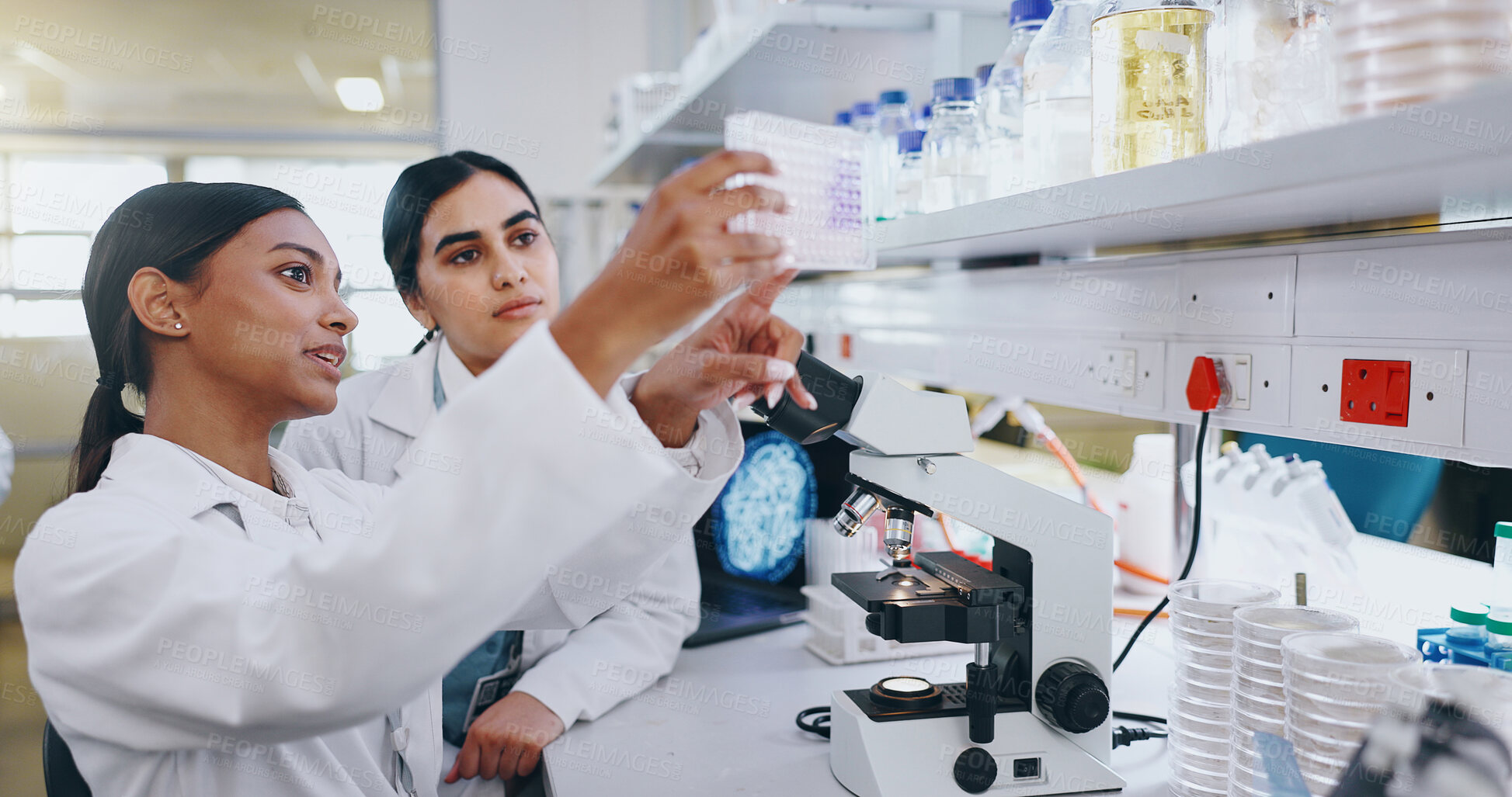 Buy stock photo Science, team and sample in lab for test results, vaccine development and feedback. Women, experiment and discussion at microscope with chemical, chemistry and virus study for pharmaceuticals