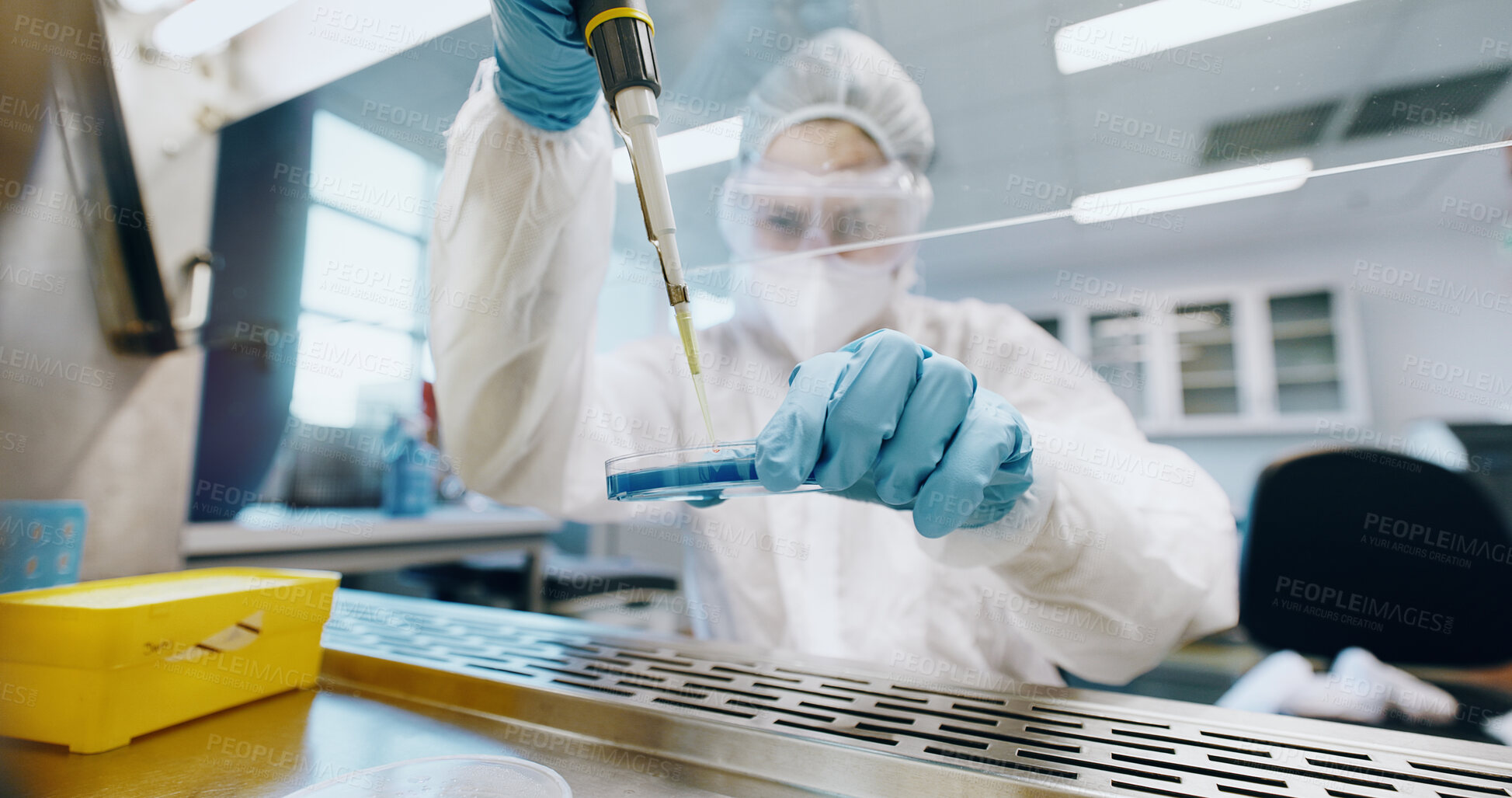 Buy stock photo Petri dish, research and science with person in laboratory for biology, breakthrough or pharmaceutical discovery. PPE, innovation or sample and scientist with pipette at work  for development