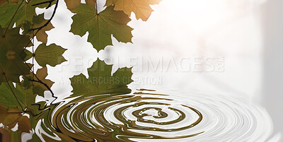 Buy stock photo Ripple, leaf and nature with water drop pattern with mockup for 3d, digital and texture. Environment, design and waves with liquid in background for abstract, sustainability and art deco graphic