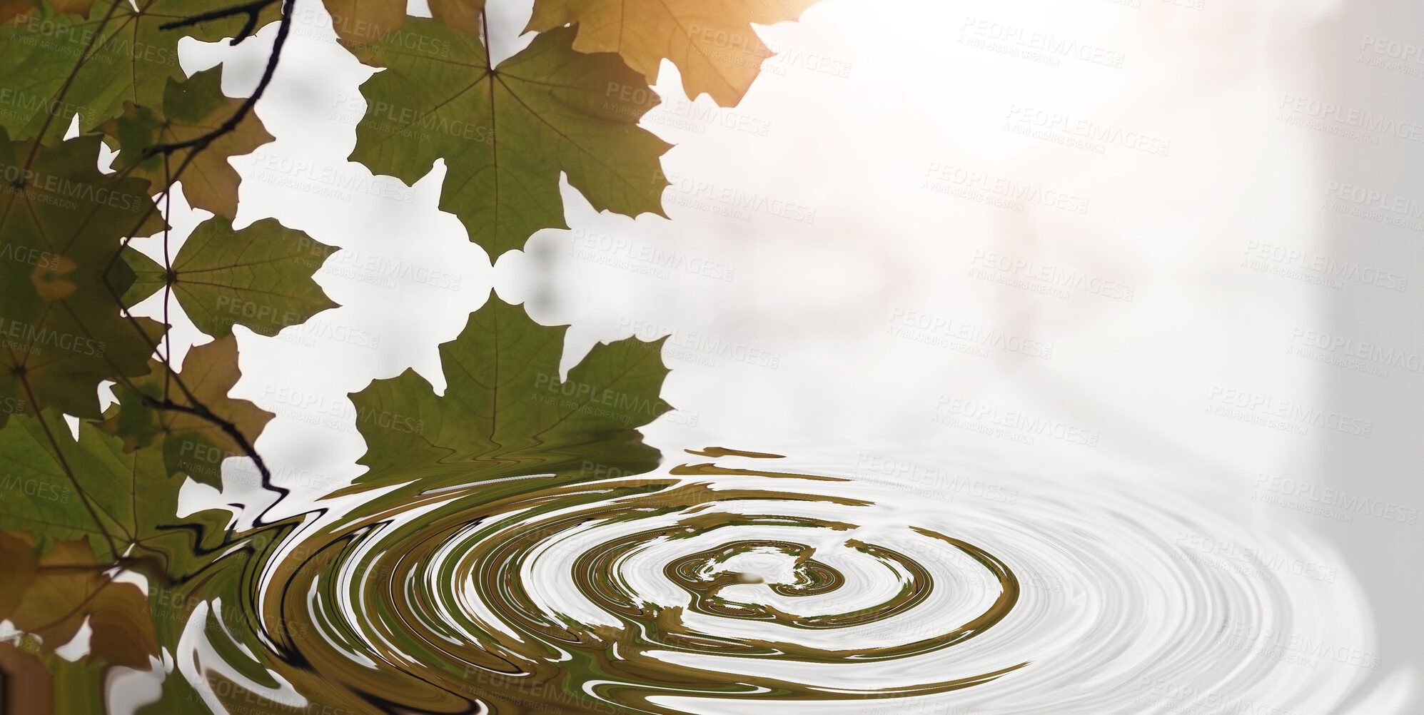 Buy stock photo Ripple, leaf and nature with water drop pattern with mockup for 3d, digital and texture. Environment, design and waves with liquid in background for abstract, sustainability and art deco graphic