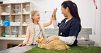 Doctor, child and high five for health in clinic with cat wellness, success and celebration of animal services. Smile, vet and girl with kitten for healthcare, recovery or assessment of treatment