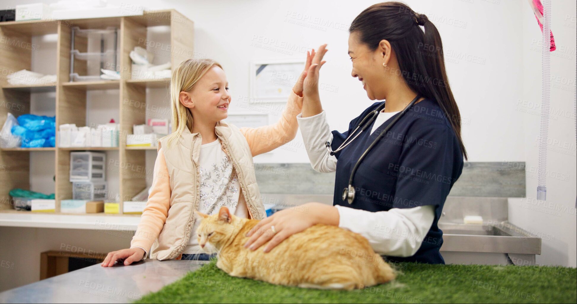 Buy stock photo Doctor, child and high five for health in clinic with cat wellness, success and celebration of animal services. Smile, vet and girl with kitten for healthcare, recovery or assessment of treatment