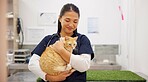 Doctor, cat and care for checkup in clinic with love, hug and medical exam for animal services of health. Smile, woman and kitten for healthcare, surgery recovery and veterinary support of wellness
