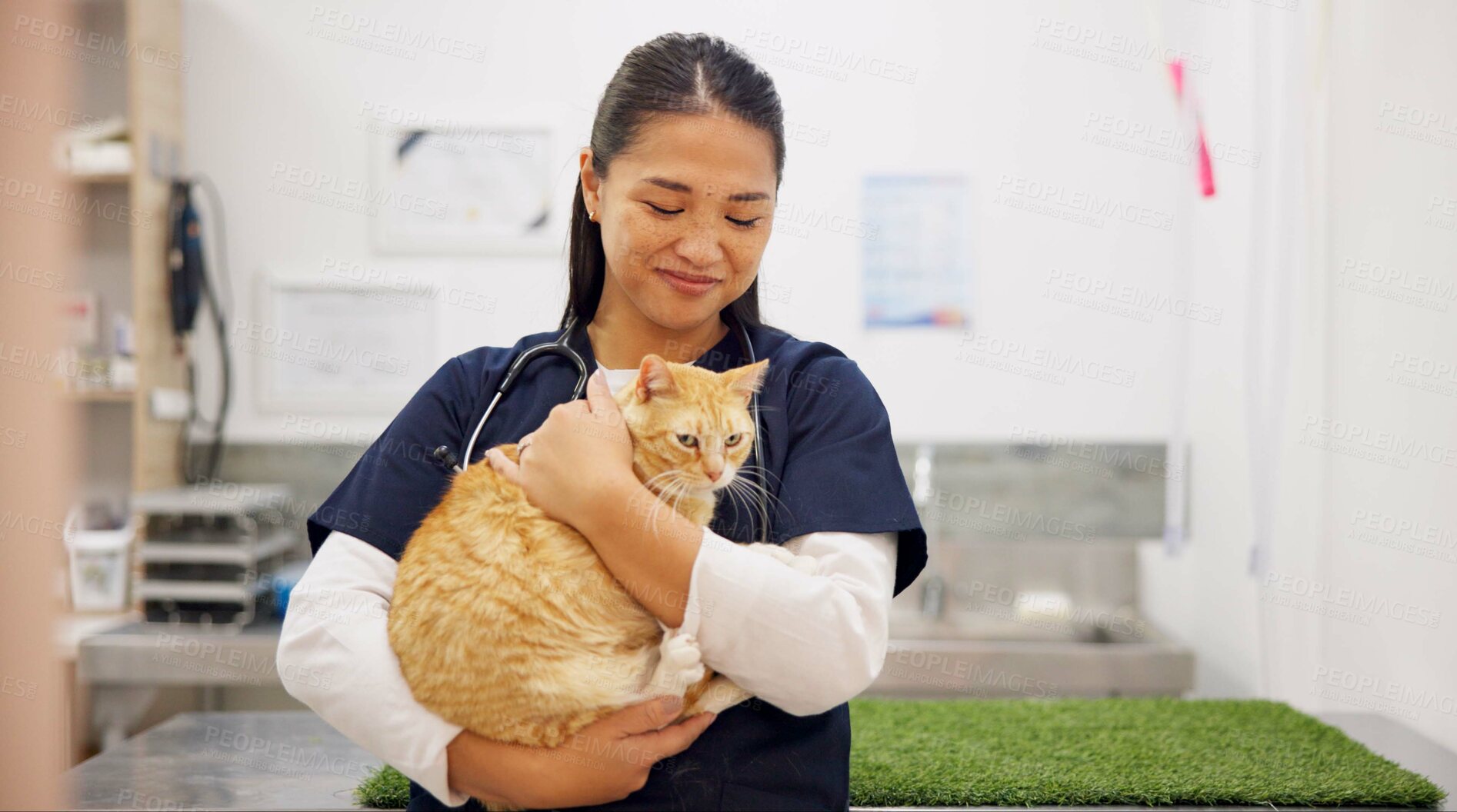 Buy stock photo Doctor, cat and care for checkup in clinic with love, hug and medical exam for animal services of health. Smile, woman and kitten for healthcare, surgery recovery and veterinary support of wellness
