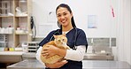 Cat, portrait and veterinarian in animal clinic for healthcare, medical or pet treatment. Feline doctor, medicine and smile with professional person in hospital for consulting or veterinary recovery