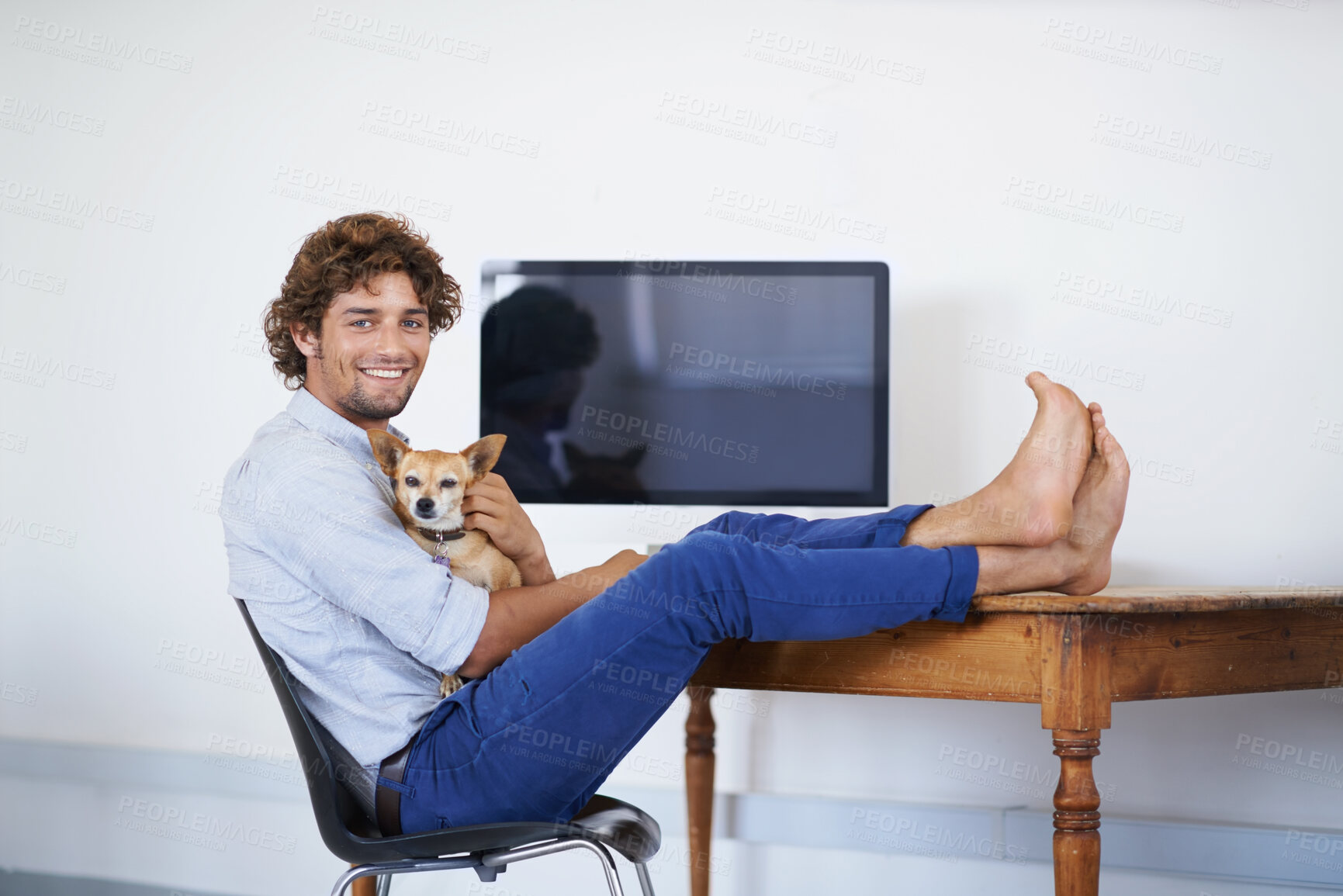 Buy stock photo Happy man, computer screen or portrait with dog for work or technology mock up for online publisher in agency. Young guy, face or desktop for company with pet or feet on table to relax with chihuahua