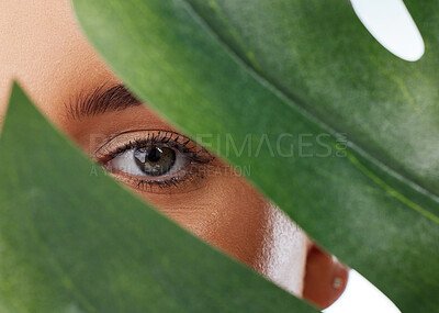 Buy stock photo Woman, plant and eye in studio for skincare, eco friendly cosmetics and leaf on white background. Female person, sustainable dermatology and natural or organic facial treatment, beauty and vegan