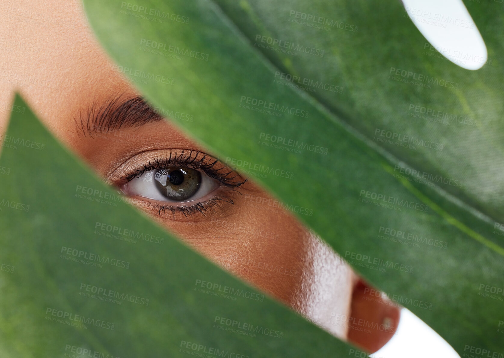 Buy stock photo Woman, plant and eye in studio for skincare, eco friendly cosmetics and leaf on white background. Female person, sustainable dermatology and natural or organic facial treatment, beauty and vegan