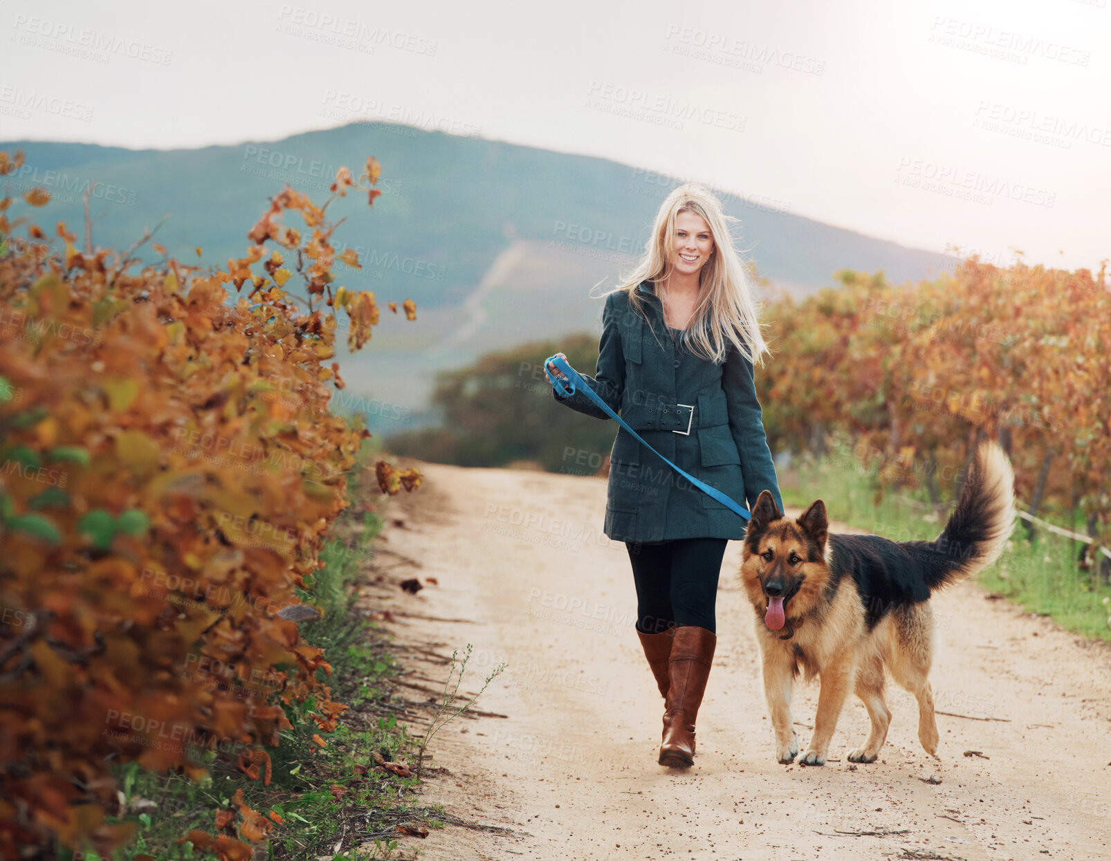 Buy stock photo Portrait of a pretty young woman walking her Alsatian in a vineyard