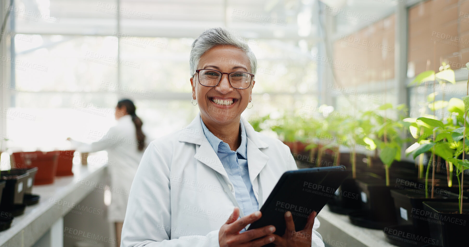 Buy stock photo Greenhouse, scientist and portrait of woman with tablet for biochemistry, ecosystem and research. Science, innovation and mature person with tech by plants for ecology, development and climate change