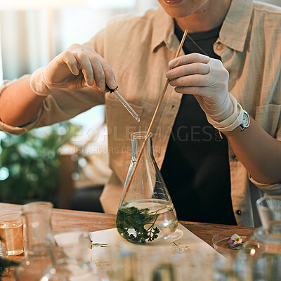 Buy stock photo Science, person and hand with plants in beaker for hydroponic experiment, research and botanical study. Closeup, gloves and nutrient solution in greenhouse lab for agriculture, growth and observation