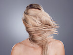 Hair care, back view and blonde woman with long healthy hair from a keratin, brazilian or collagen treatment. Beauty, cosmetic and girl model with a shiny and glossy hair style by gray studio background