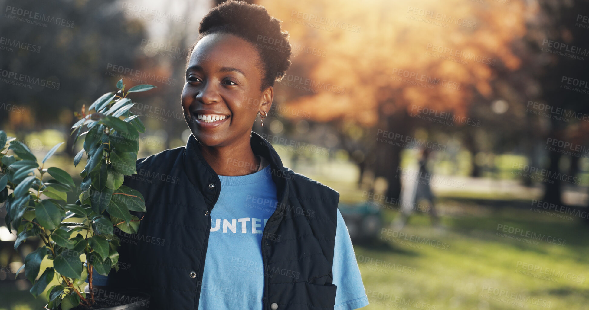 Buy stock photo Smile, volunteer and black woman in park with plant for growth, development or happy support on earth day. Green, woods and girl in nature for sustainability, community care and social responsibility