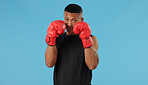 Man, fist and portrait in studio for box, fight and muay thai with exercise, battle and competition. Boxer, face and strong athlete on blue background for training, fitness and workout with mma sport