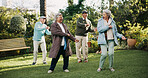 Happy, senior people and dancing outdoor for retirement activity, movement and wellness routine of community. Elderly, group and friends with support for energy, celebration and carefree fun at park