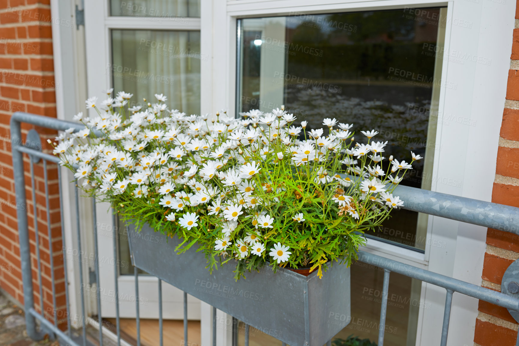 Buy stock photo Architecture, building and design with flowers on balcony for travel location, decoration and history tourism. Home, structure and rail for plants with window view, fence security and Spain property