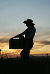 Silhouette of a female farmer standing in a field with a wooden box. A woman harvesting fresh vegetables in a field with a basket