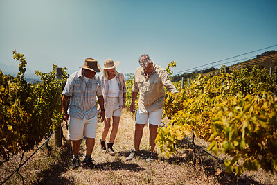 Buy stock photo Senior, farmer and people in vineyard for agriculture with quality assurance and crops inspection for harvest. Team, discussion or checking produce on grape field for sustainability or growth control