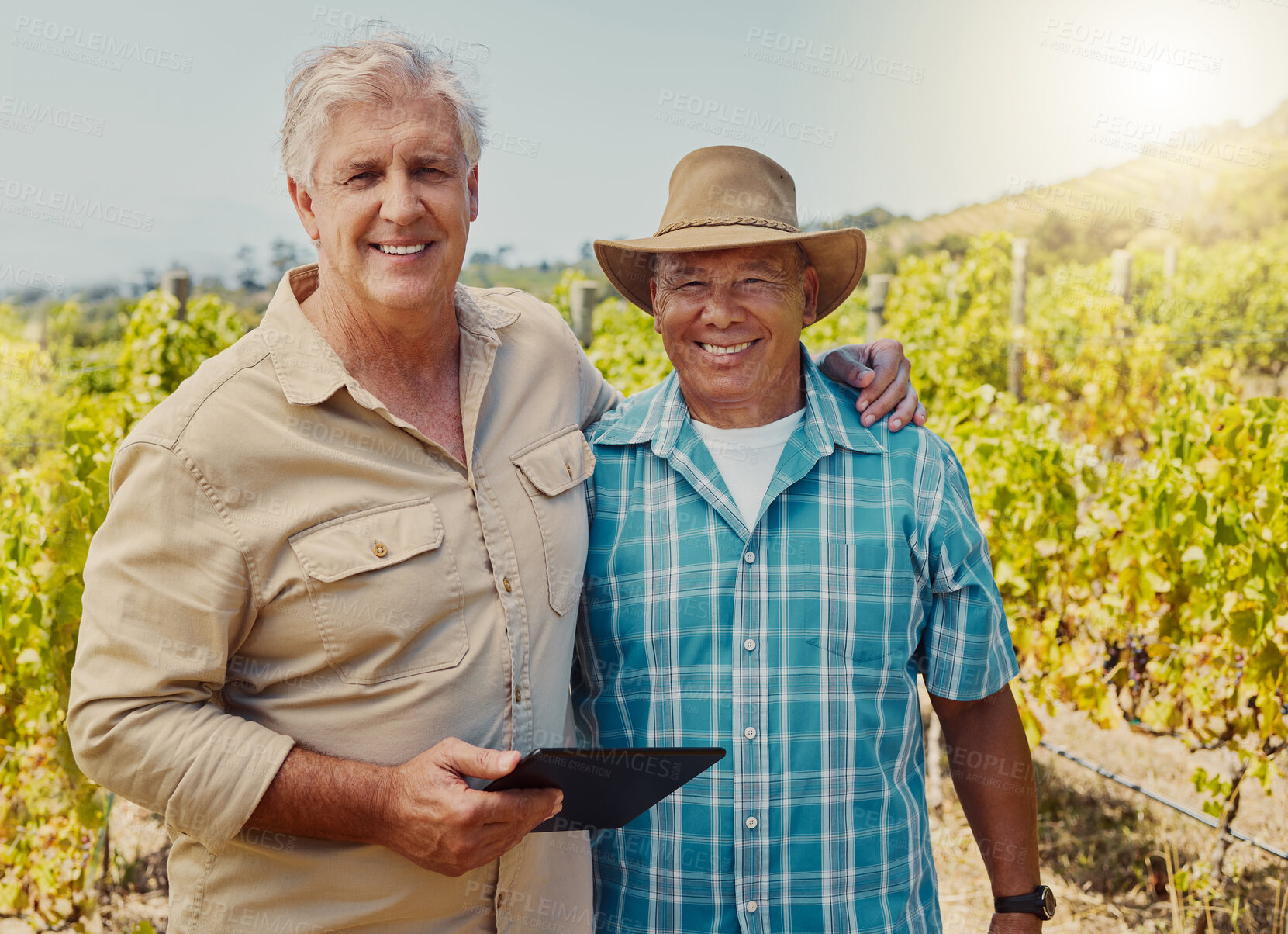 Buy stock photo Portrait, farming and men with tablet in vineyard, small business and checking for harvest season. Plants, teamwork and senior farmers with hug for quality control, agriculture and winery production