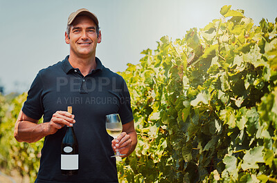 Buy stock photo Agriculture, wine and portrait of man in vineyard for alcohol, grape farming and countryside. Sustainability, garden and environment with person and glass in nature for horticulture and harvest