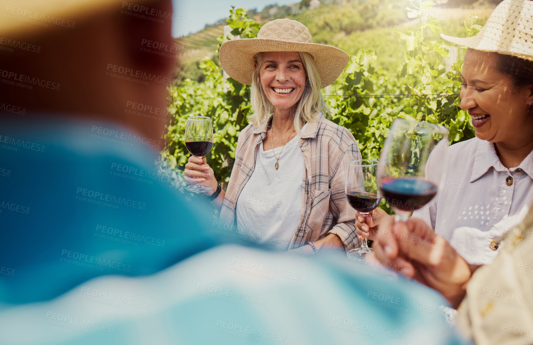 Buy stock photo Vineyard, people and happy as friends with wine glass for tasting, drinking and break in France. Farm, outdoor and senior together or laughing on alcohol with bonding, support or holiday for love
