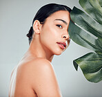 A beautiful mixed race woman posing with a plant. Young hispanic using an organic detox treatment against a grey copyspace background