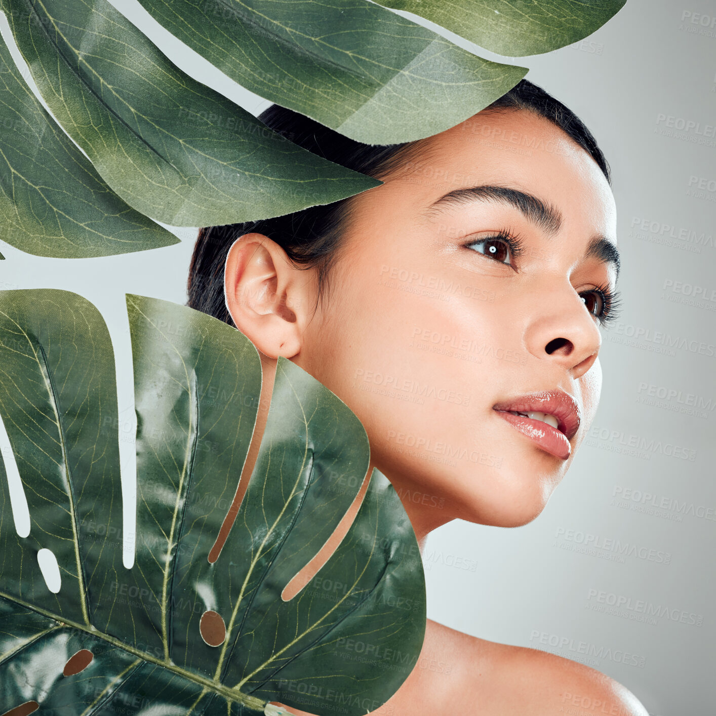 Buy stock photo Woman, palm leaf and relax with natural beauty for skincare, cosmetics or facial on a gray studio background. Young, female person or model with organic green plant for salon detox or spa treatment