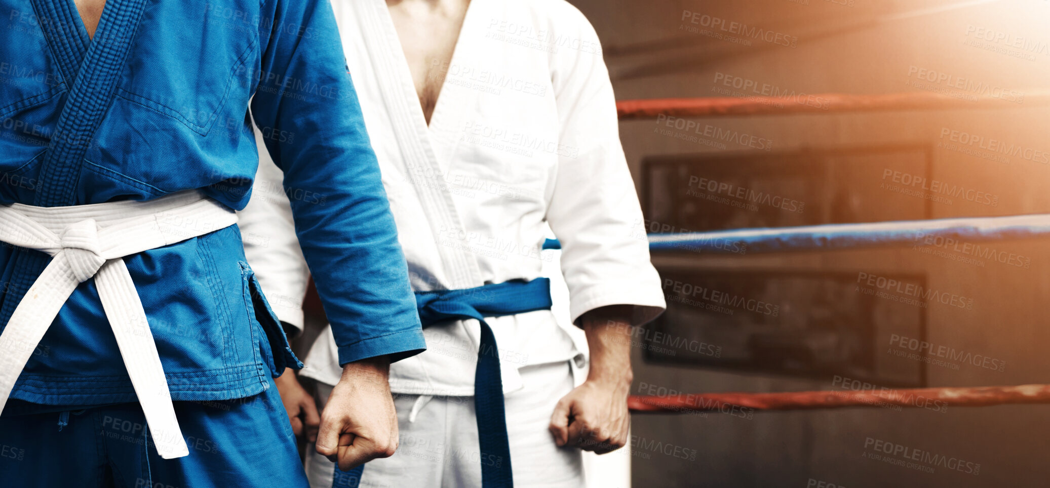 Buy stock photo Cropped shot of a two young martial artists standing in a ring