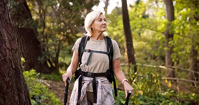 Buy stock photo Mature woman, hiking and forest with walking sticks for adventure, sightseeing or travel in nature. Female person, hiker or tourist with backpack or equipment for outdoor trekking journey in woods