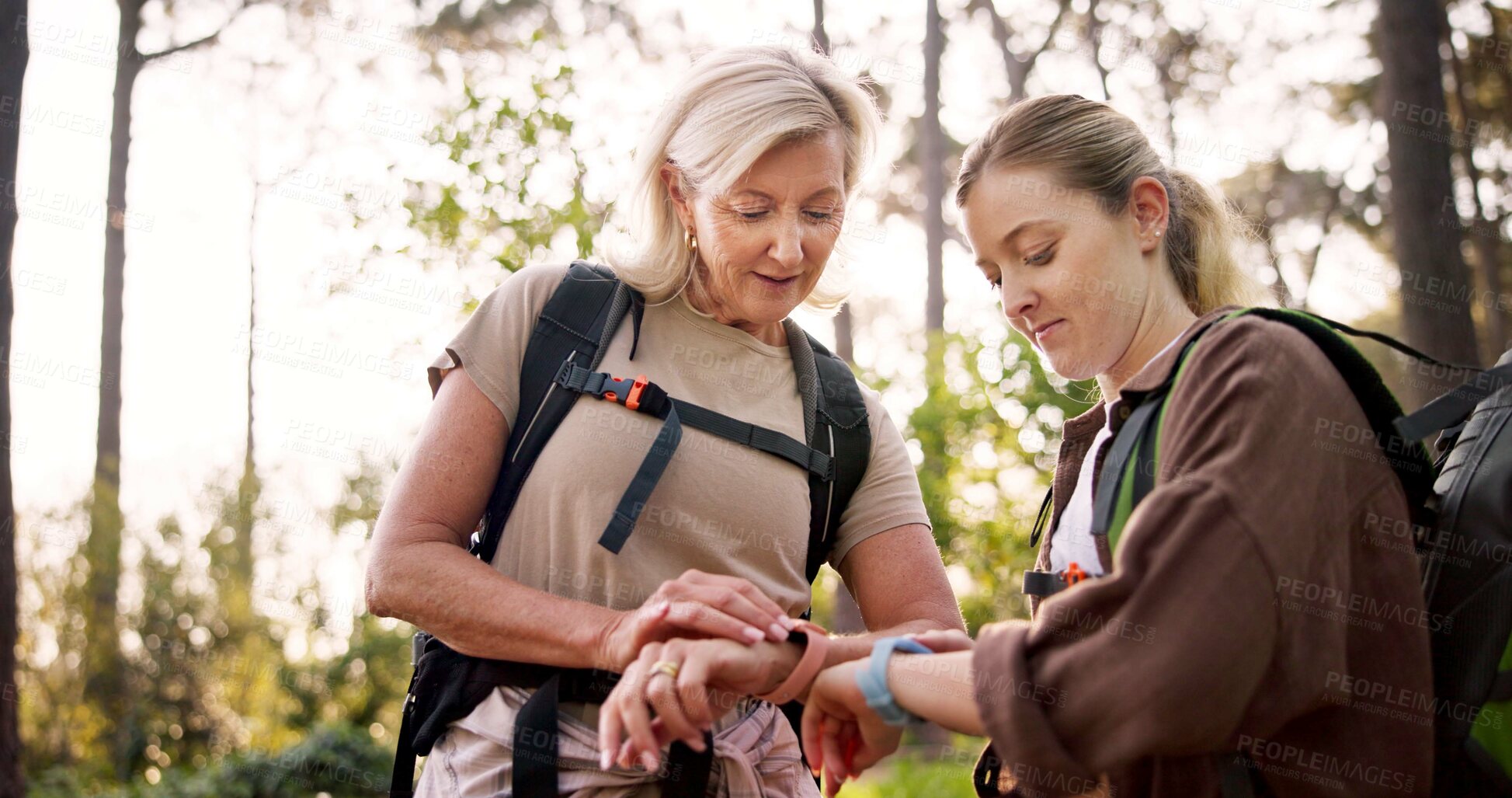 Buy stock photo Hiking, smart watch and tracking with people in forest for adventure guide, wildlife conservationist or navigation. National park, environment and trail mapping with women in nature for field explore